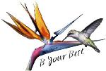 B Your Best